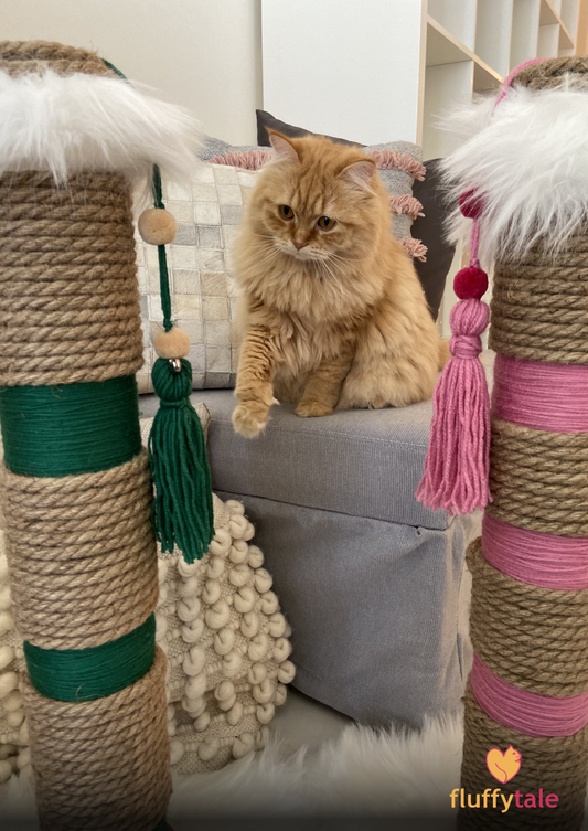 Fluffy Tale Cat Scratcher