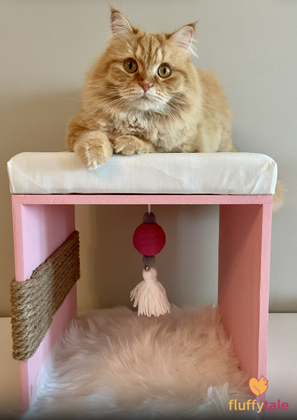 Fluffy Tale Cat Lounge