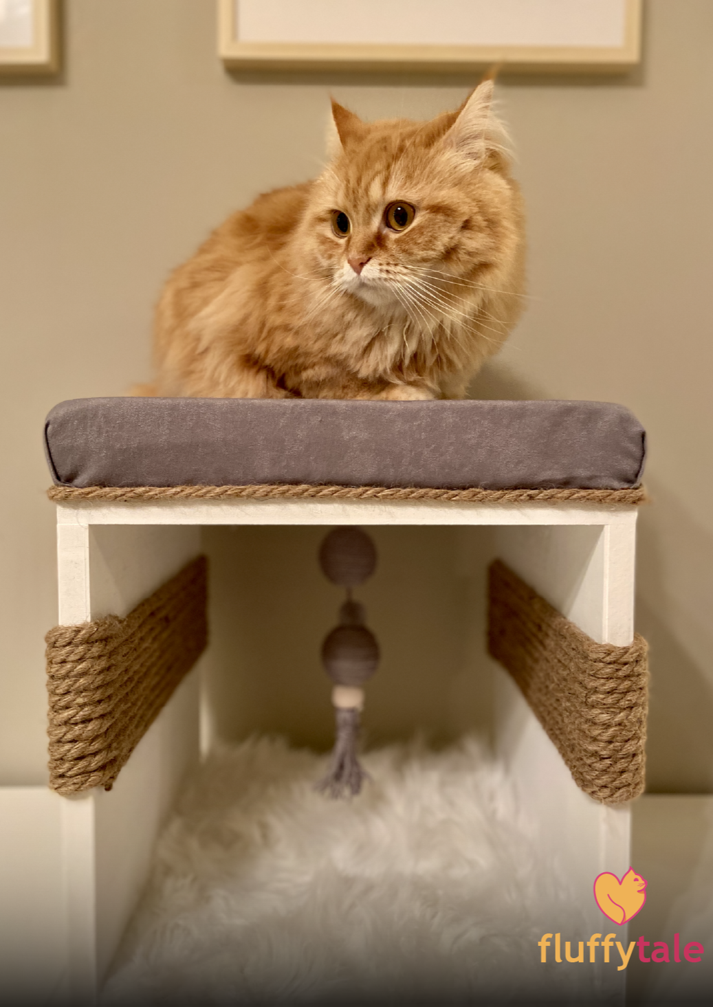 Fluffy Tale Cat Lounge