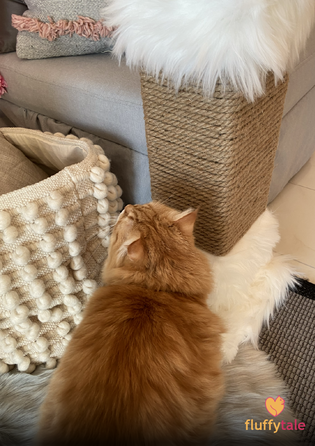 Fluffy Tale Couch Scratcher