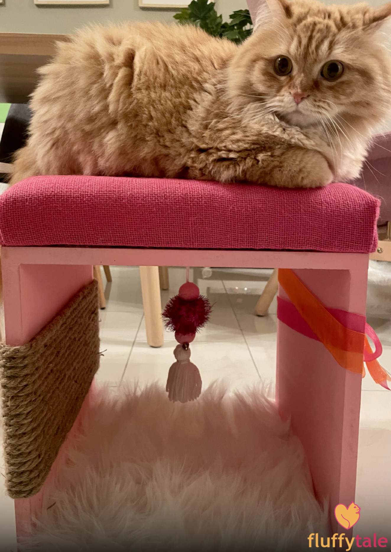 Fluffy Tale Cat Lounge