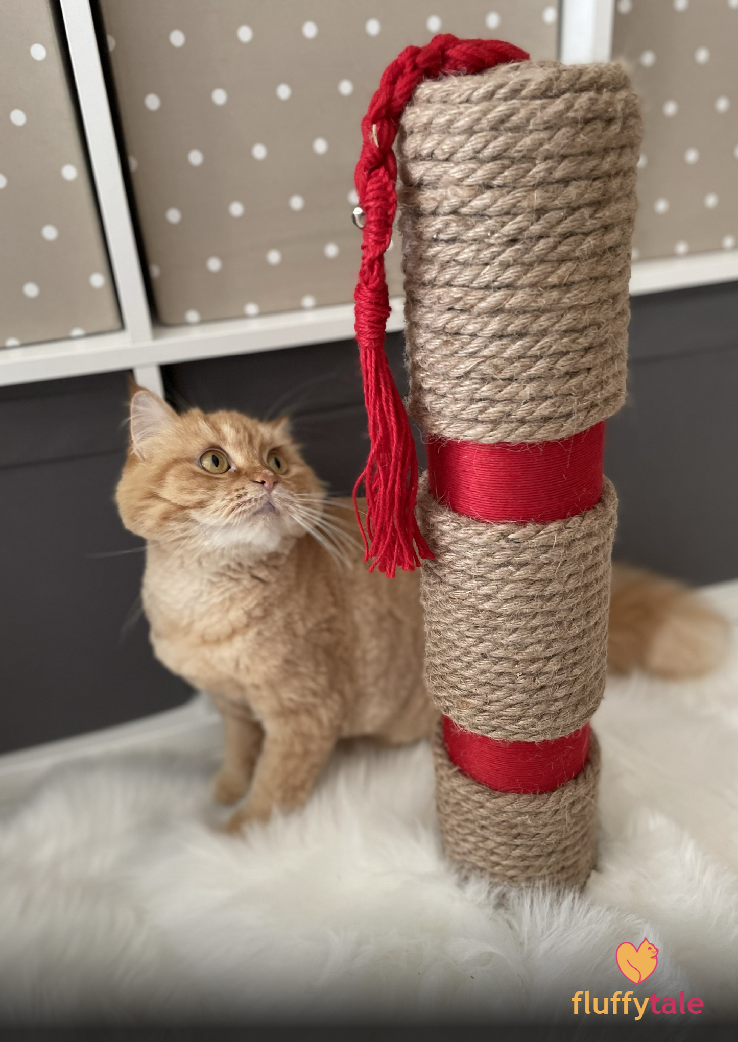 Fluffy Tale Cat Scratcher