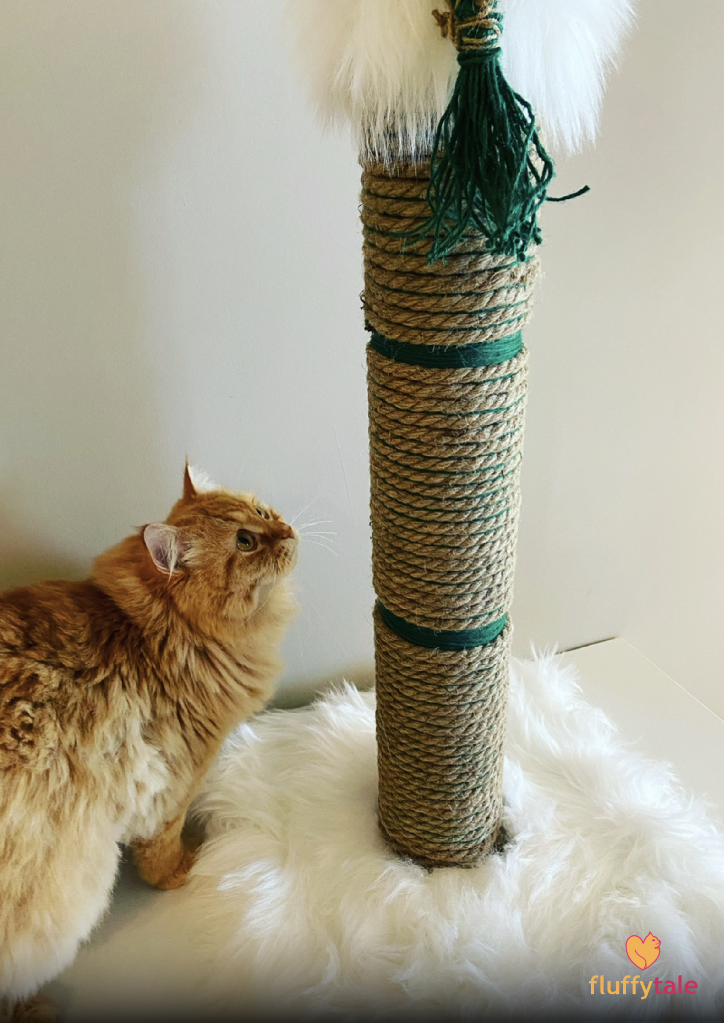 Fluffy Tale Cat Scratcher