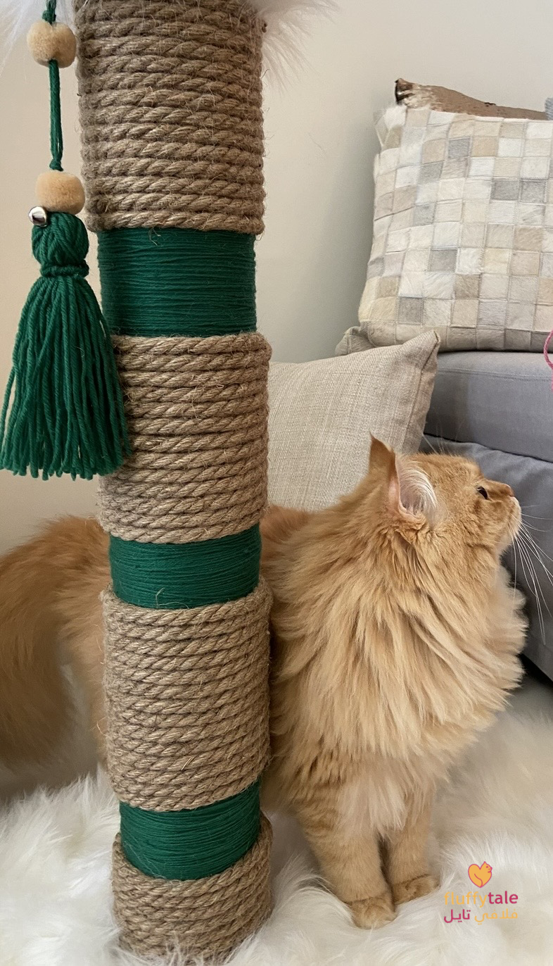 Fluffy Tale Cat Scratcher