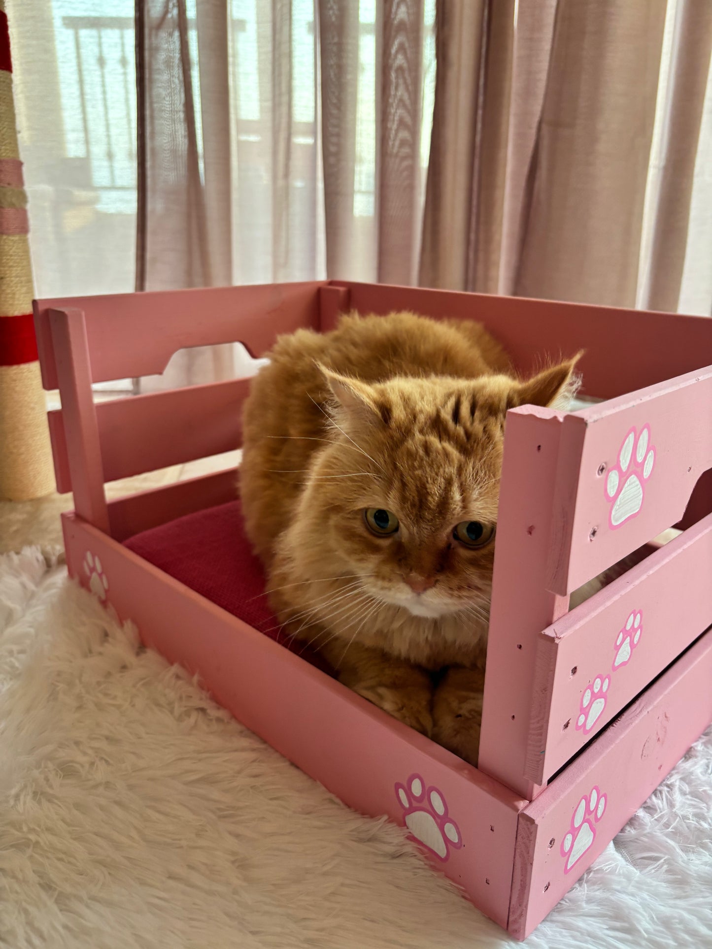 Fluffy Tale Snuggle Bed