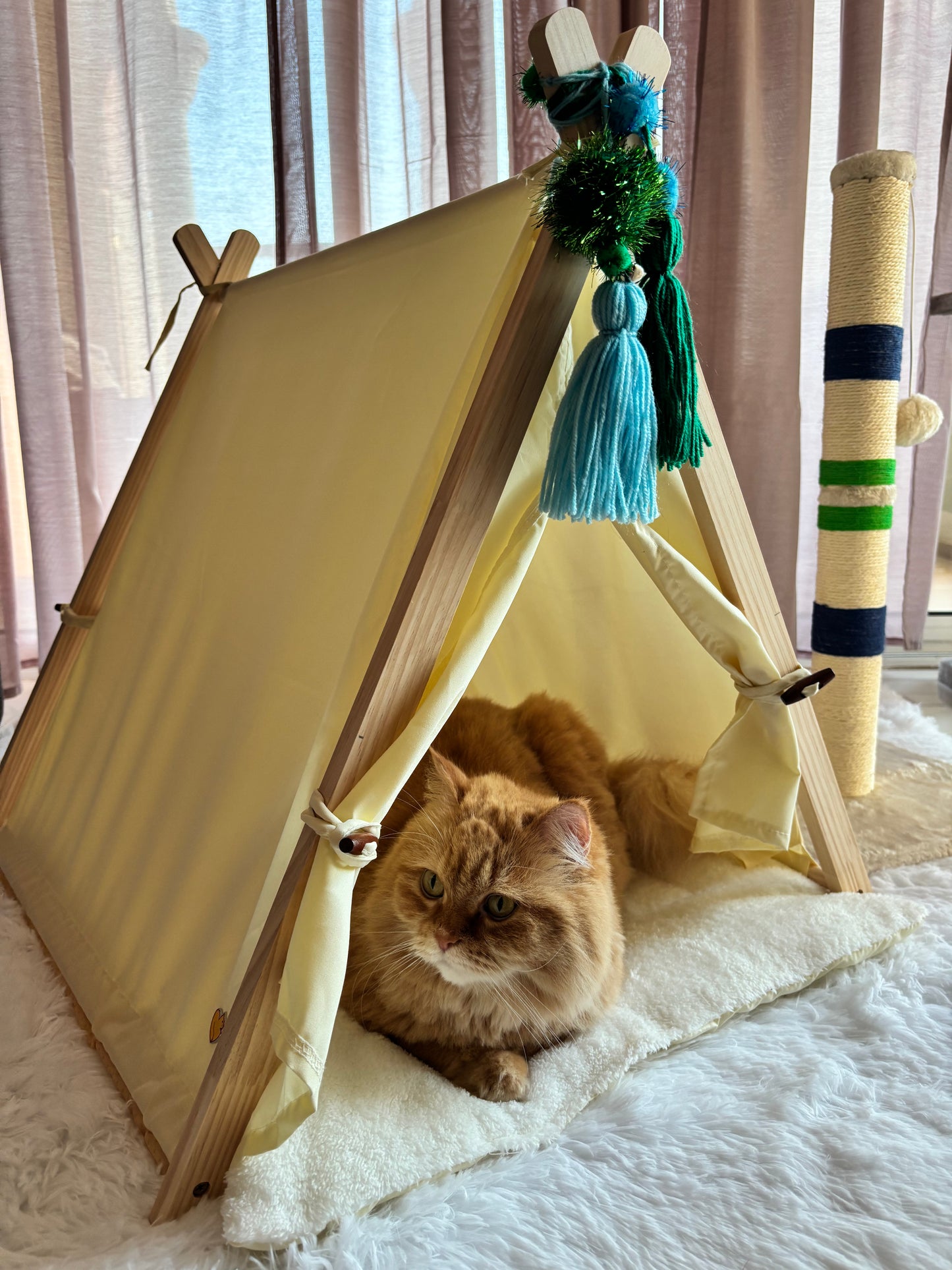 Fluffy Tale Pawsome Tent