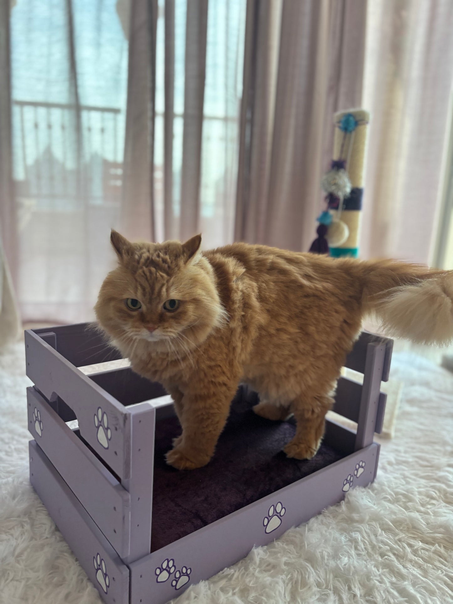 Fluffy Tale Paw Couch