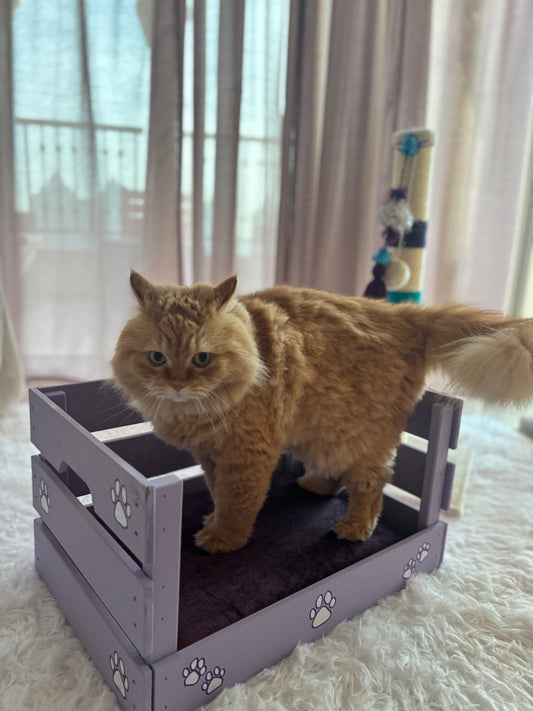 Fluffy Tale Paw Couch